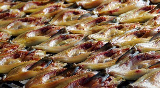 Food dried fish market photo