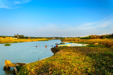 The grassland the cultivation agriculture