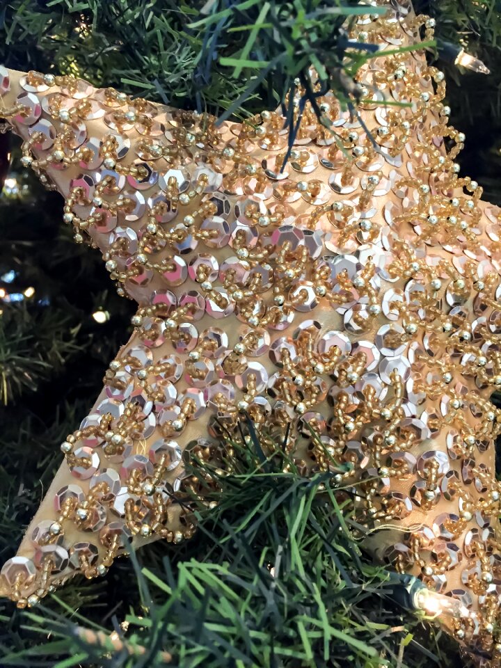 Festival fir lights
