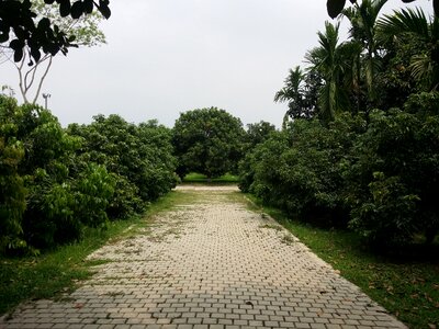 Road leisure