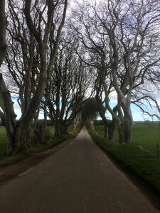 Trees road places of interest photo