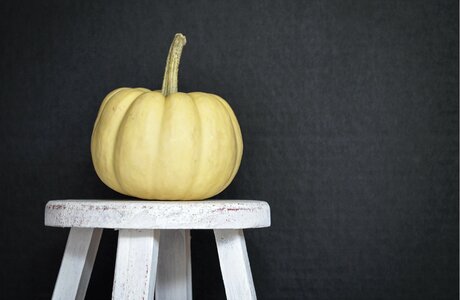 Black background fall seasonal