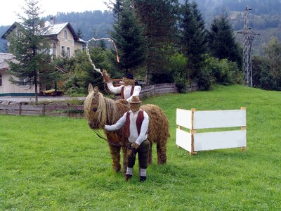 Animal village life cute