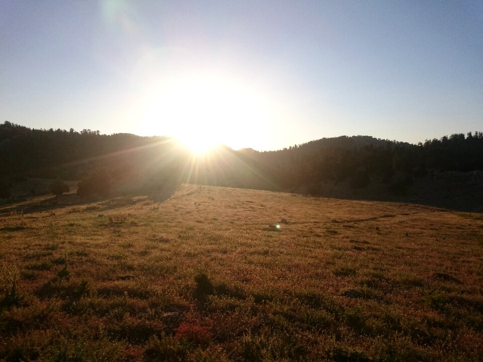 Taylor high landscape