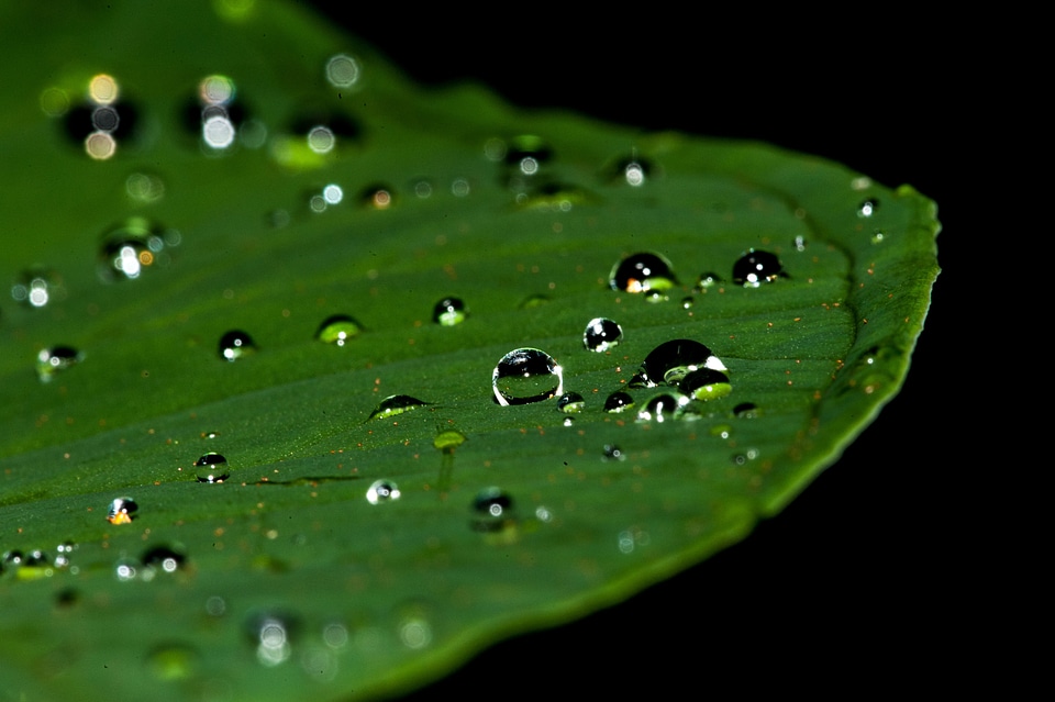 Rain tear teardrop