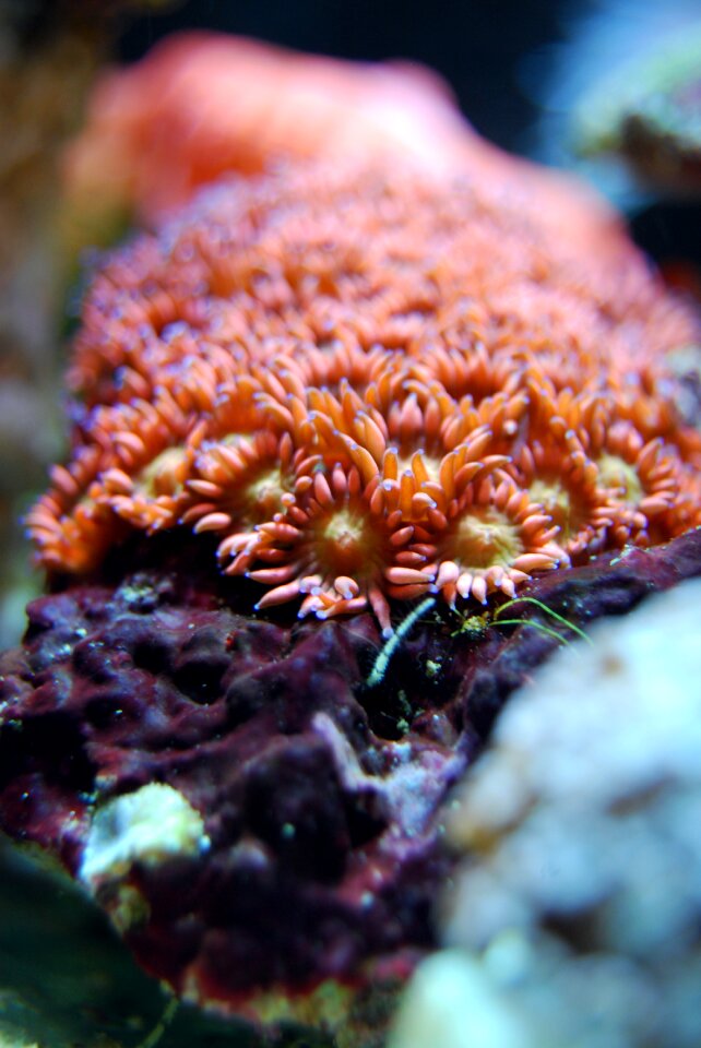 Underwater water marine
