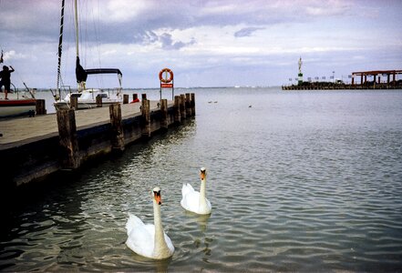 Port marine water