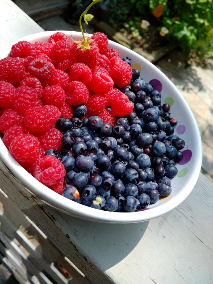 Fresh ripe freshness