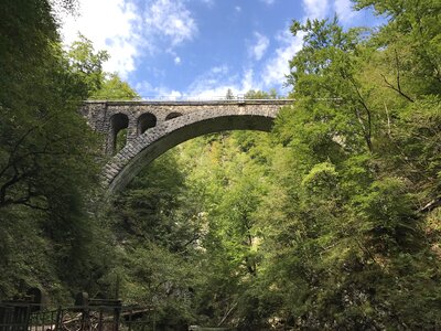 Slovenia trail bridge