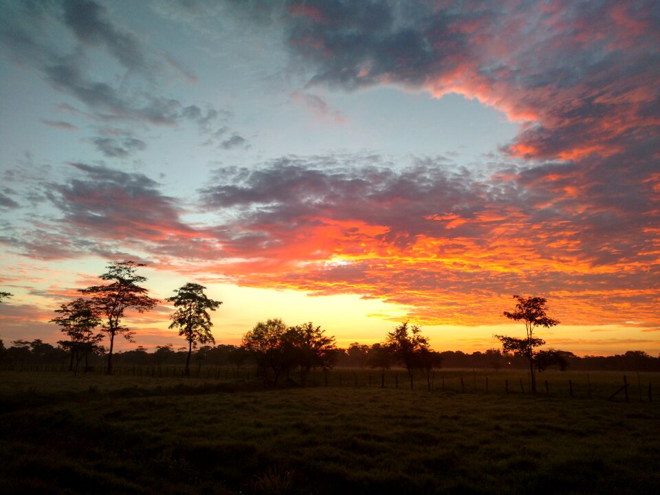 Dawn tomorrow day