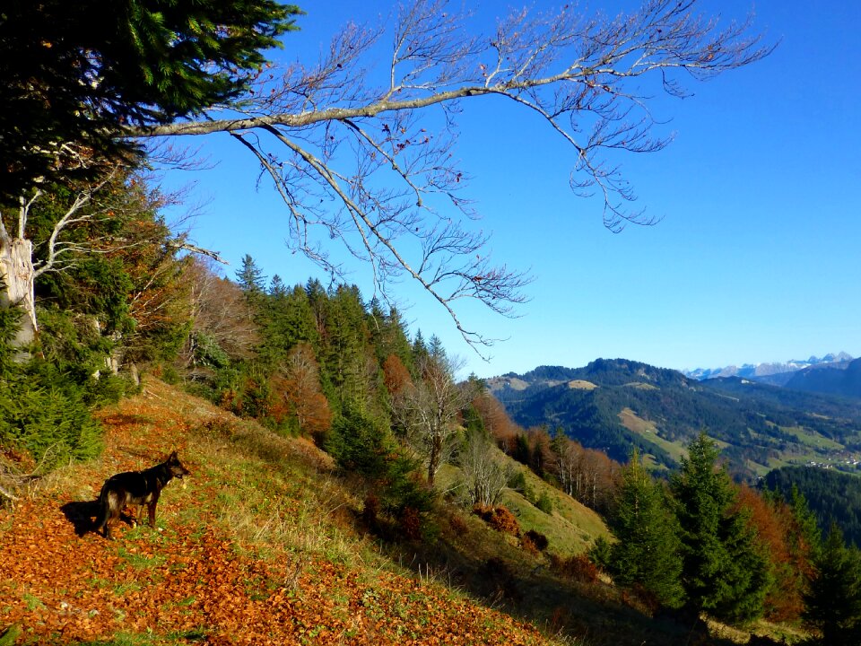 Allgäu mountains farbenpracht