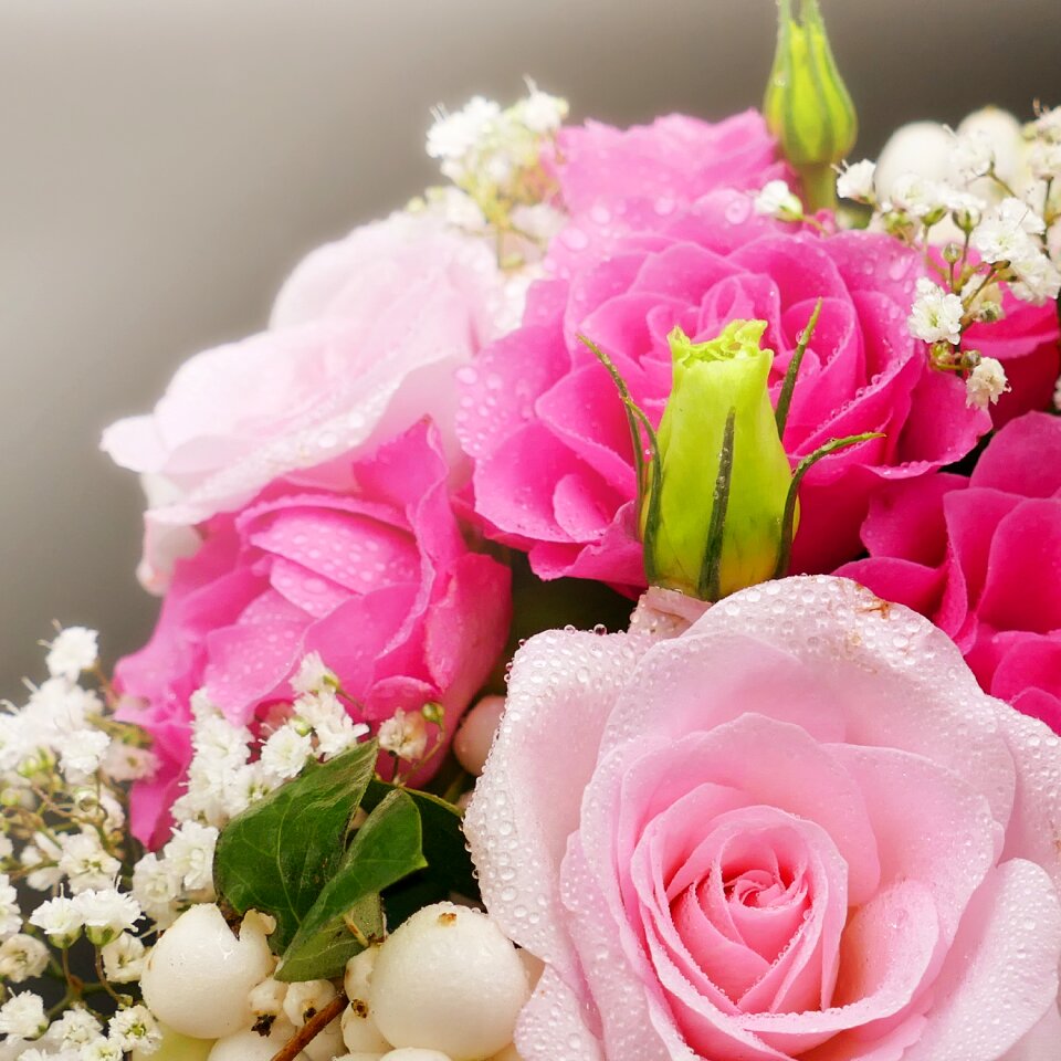 Romance flowers berries