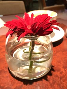 Perfume decoration drink