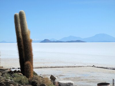 Bolivia island salt