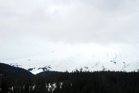 Northwest pacific snow