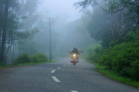 Mist fog nature