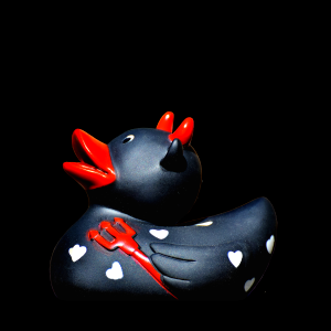 Duck rubber cute