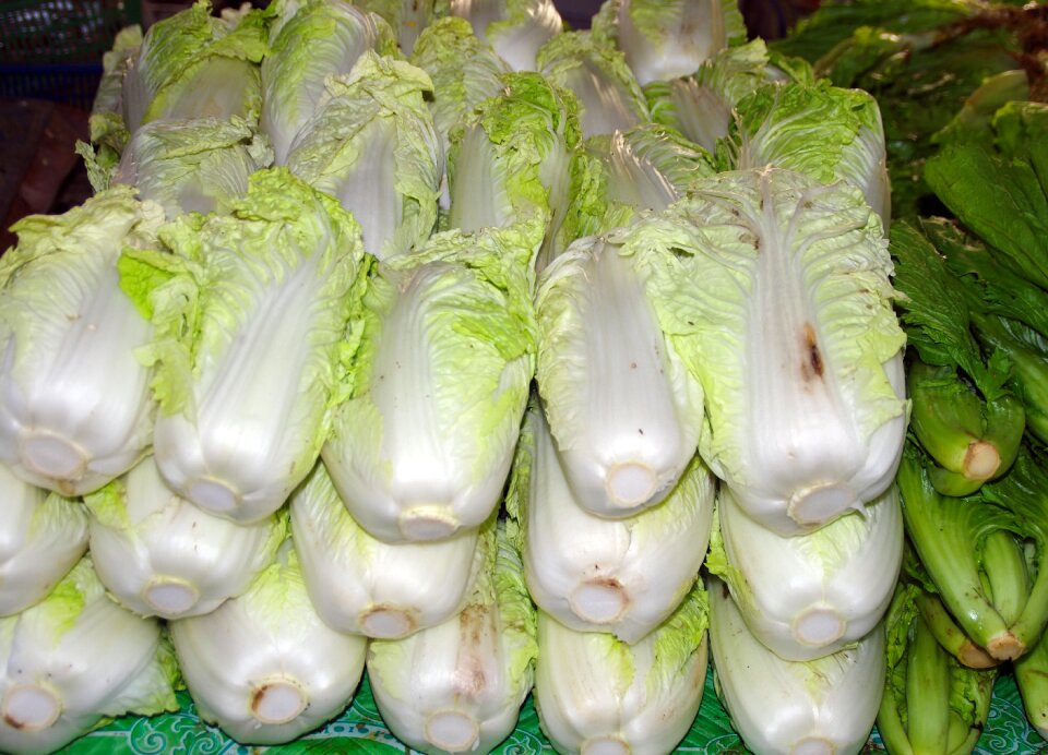 Salad display market