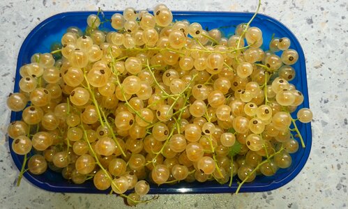 Sour sweet healthy