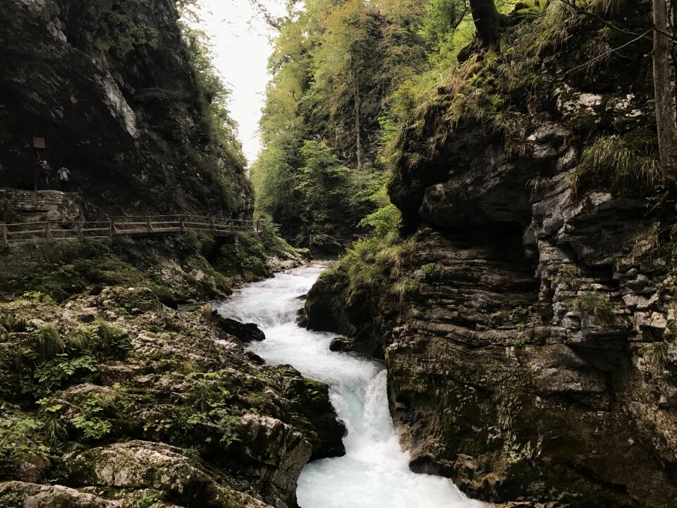 Park slovenia trail