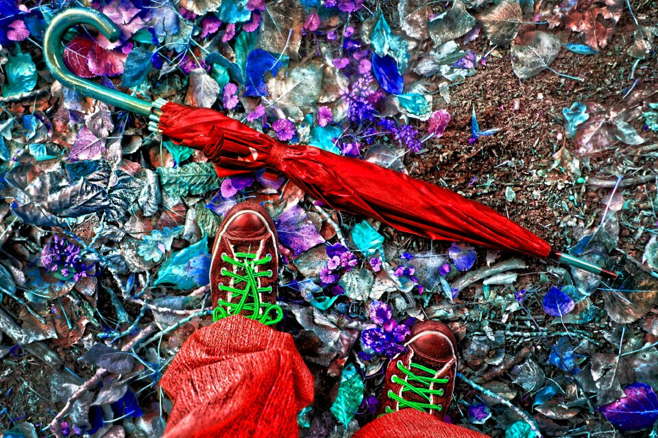 Sneakers walking leaves