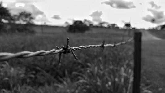 Fence black and white photo