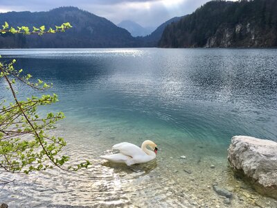 Idyll rest beauty