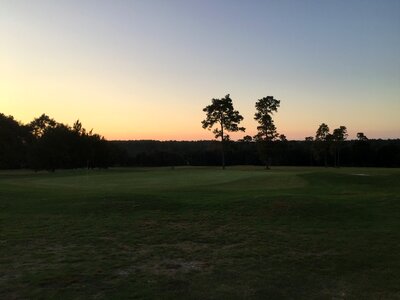 Evening sun fairway