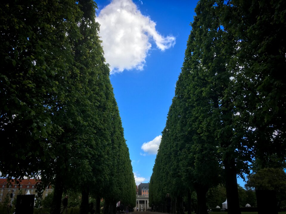 Nature landscape summer