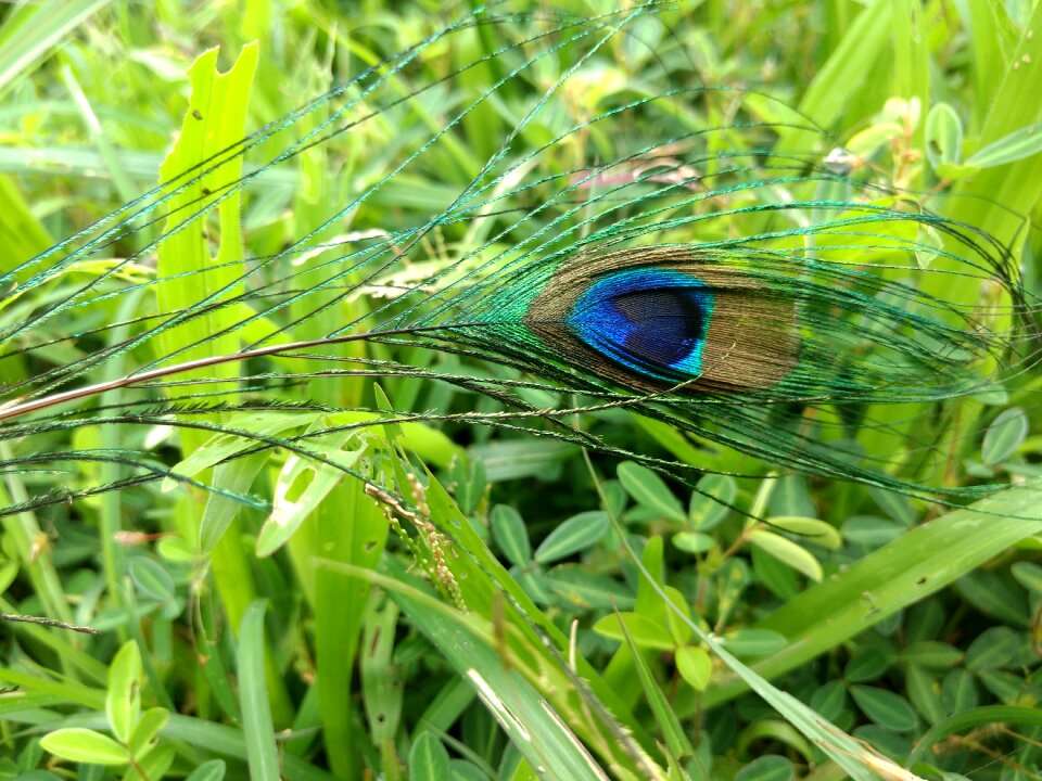 God green god