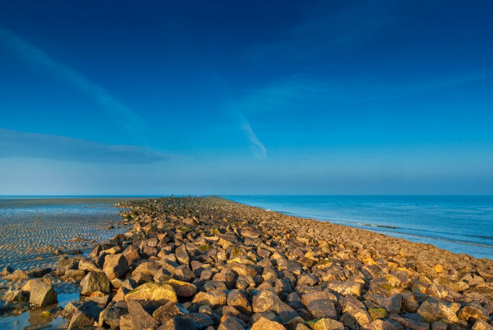 Summer landscape stones