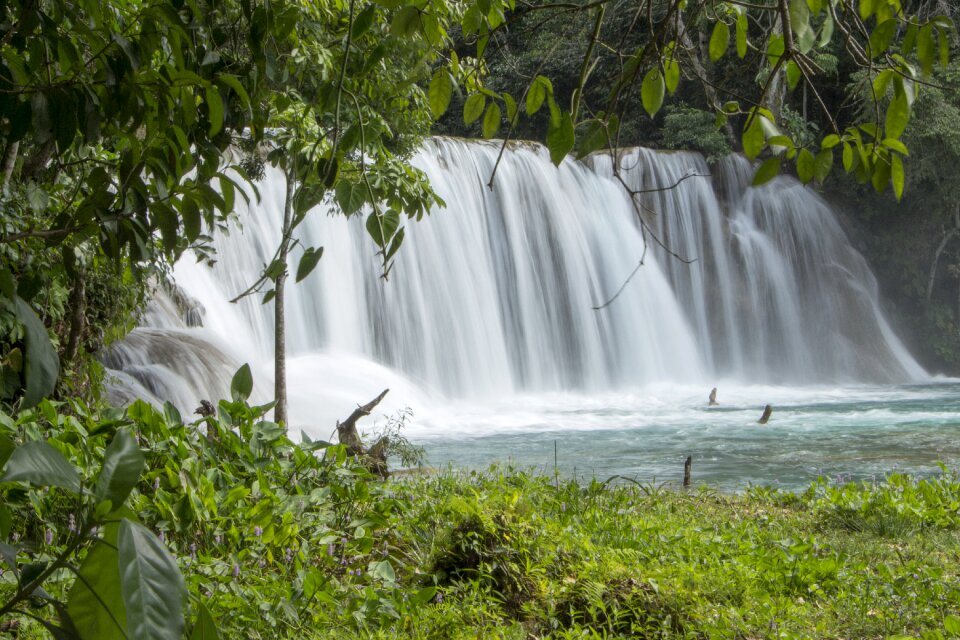 Current nature chiapas-mexico