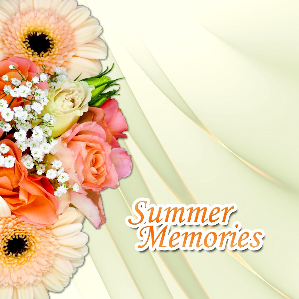 Summer memories roses