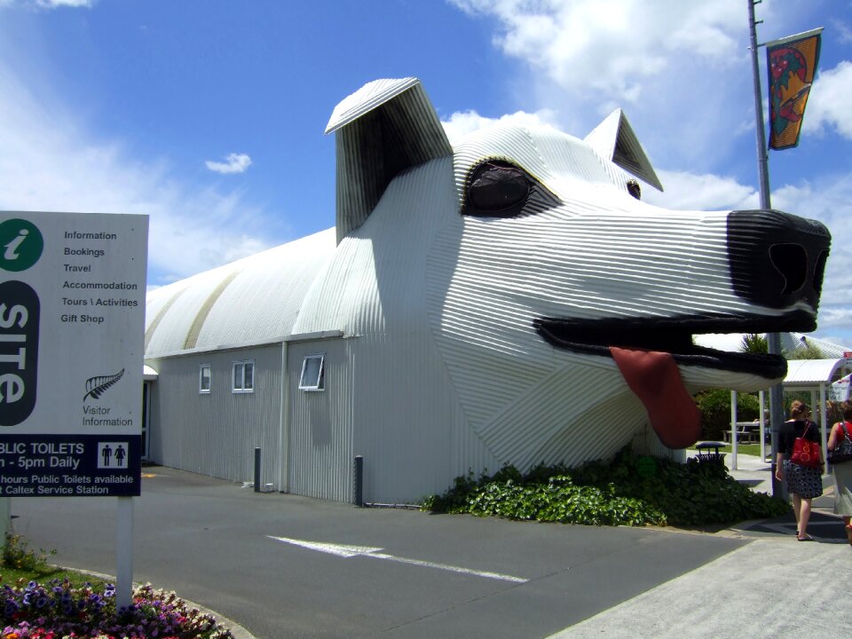 Dog corrugated iron
