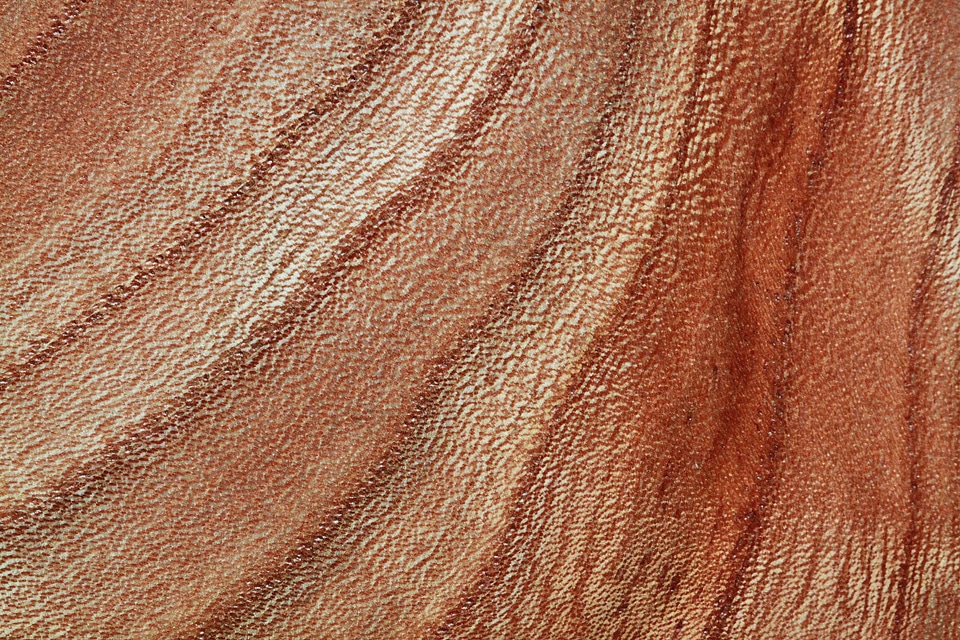 Annual rings grain background