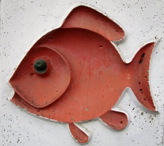 Fish animal wall motif