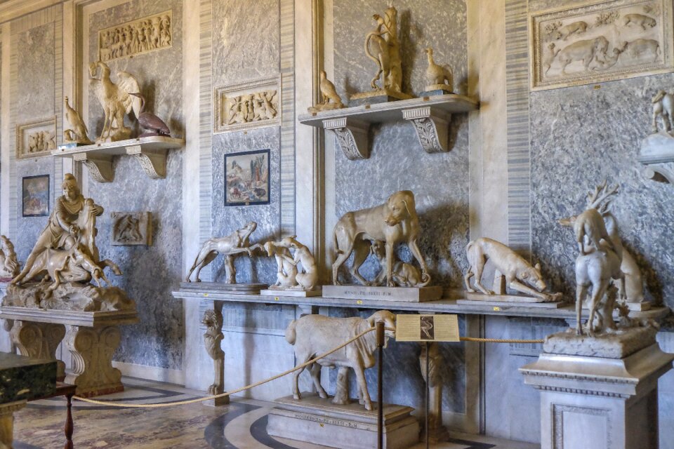 Animals collection museum