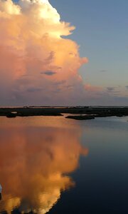 Nature florida sky