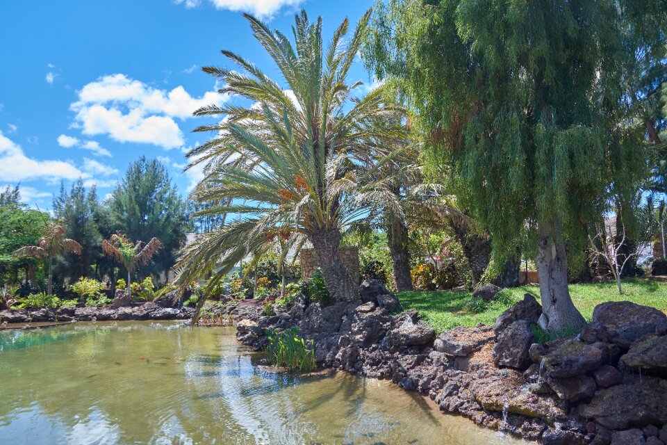 Canary islands sun sky