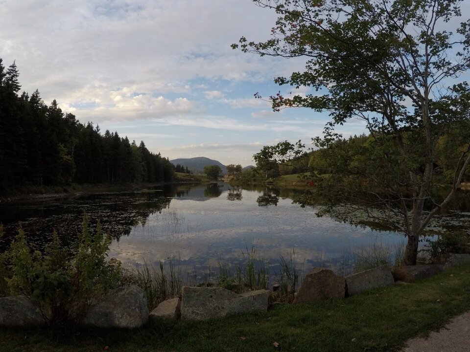 Northeast harbor mount desert island national park