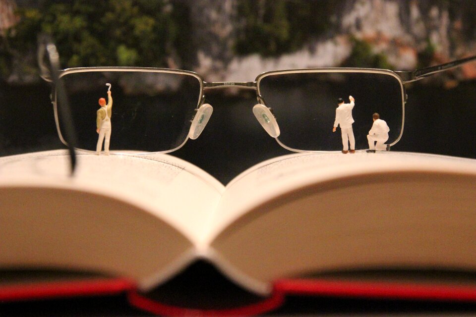 Foresight by looking book