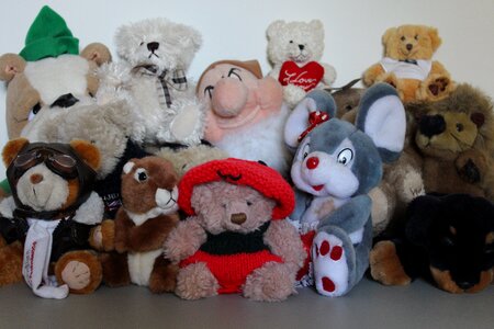 Animal teddy fluffy