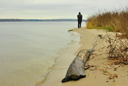 River balance beam man photo