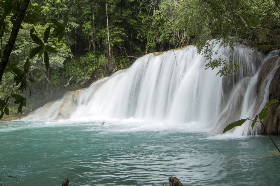 Current nature chiapas-mexico