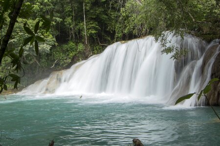 Current nature chiapas-mexico