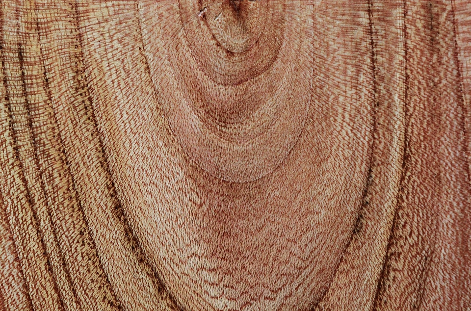 Annual rings grain background