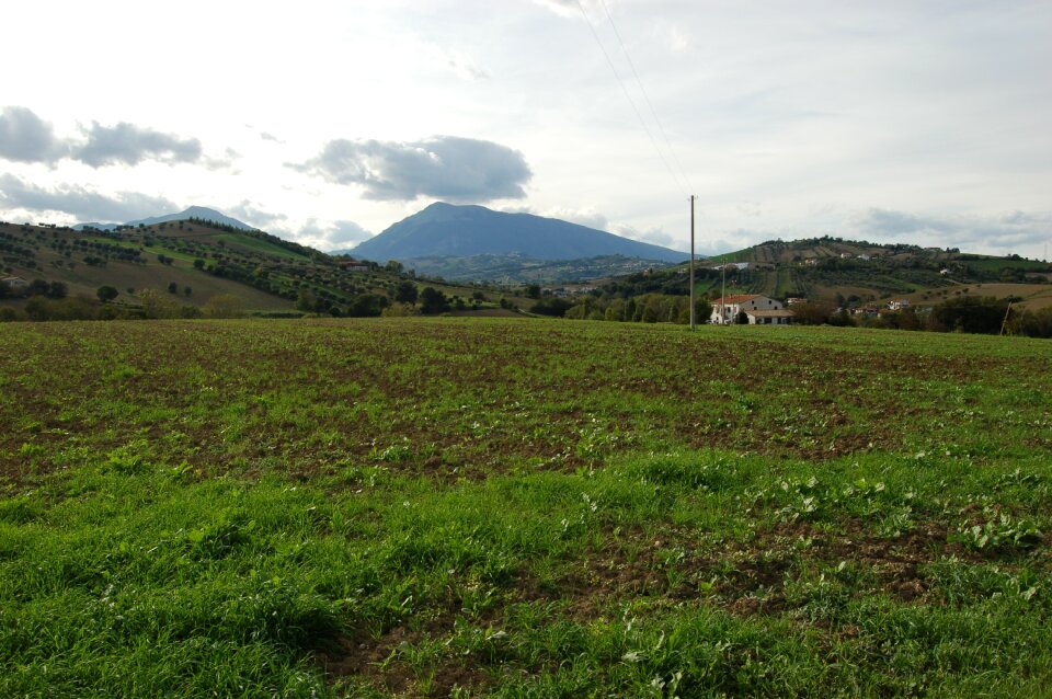 Horizon nature campli