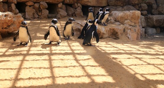 Zoo cute nature