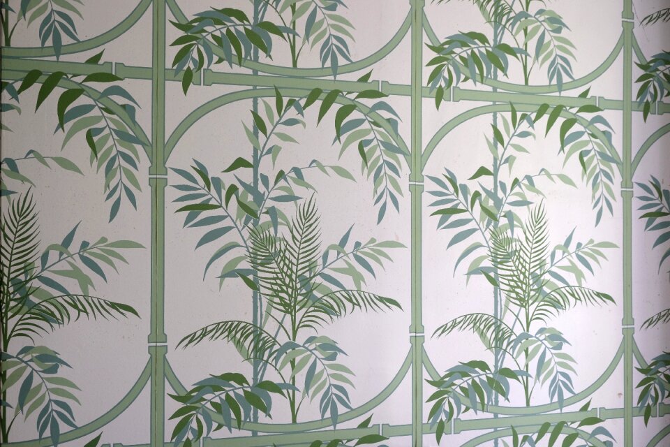 Wallpaper france palm trees