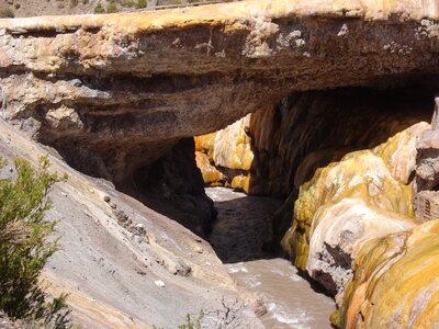 Yellow mountain mendoza